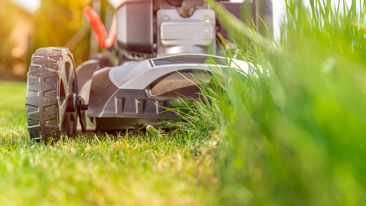 7 Essential Reasons Homeowners Should Invest in Professional Lawn Care Services
