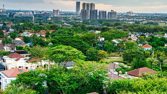 Top 10 Buggiest Cities 2023